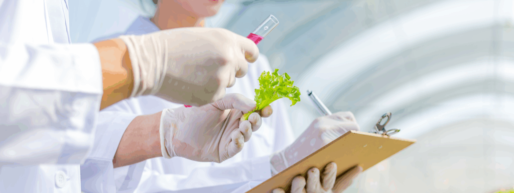 Professional Certificates (Food Safety)