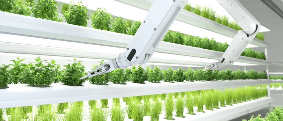 Professional Certificates (Food Technology)